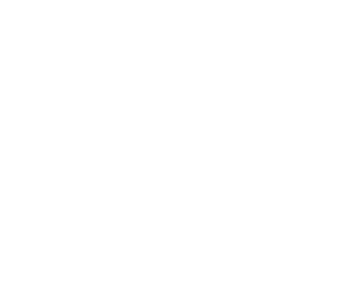 Logo phoenix one